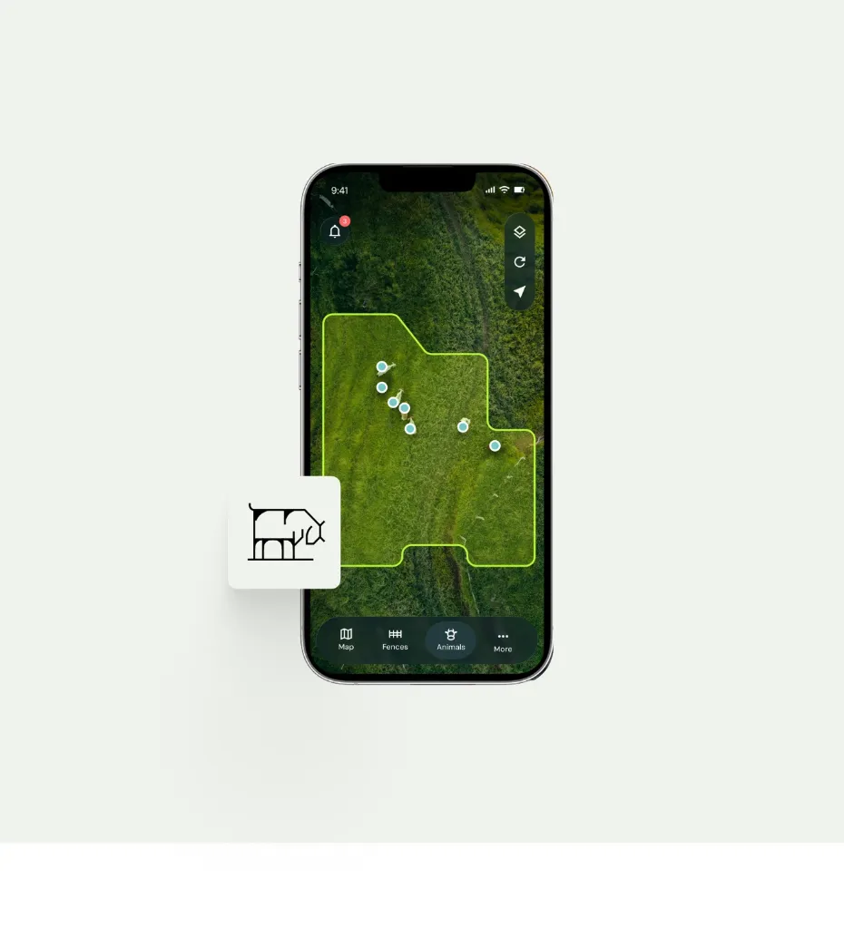 Subscription - cattle